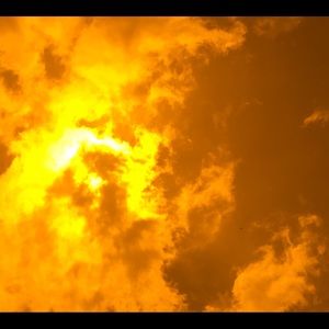 Meet your Posher, Tim